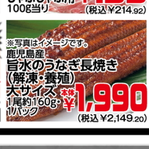 うなぎの蒲焼き