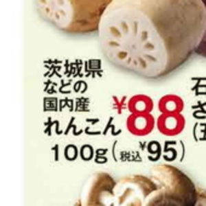 レンコン