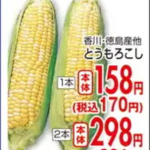 とうもろこし