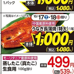 うなぎの蒲焼き