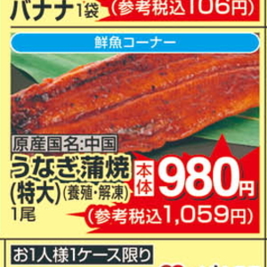 うなぎの蒲焼き