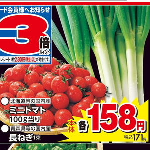 ながねぎ