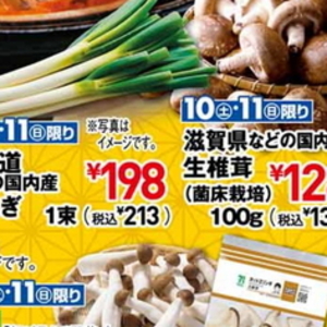 ながねぎ
