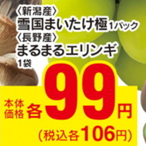 エリンギ