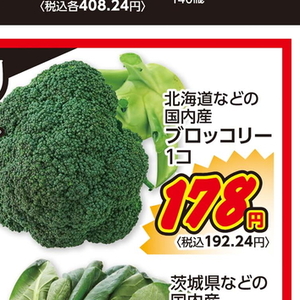 ブロッコリー