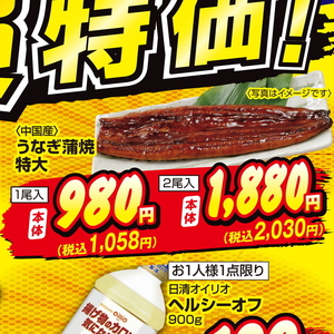 うなぎの蒲焼き