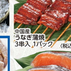 うなぎの蒲焼き