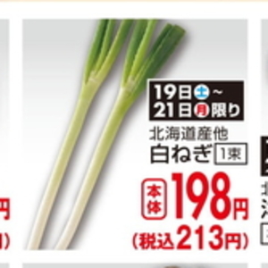 ながねぎ