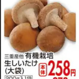 しいたけ