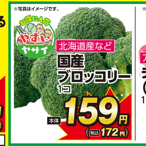 ブロッコリー