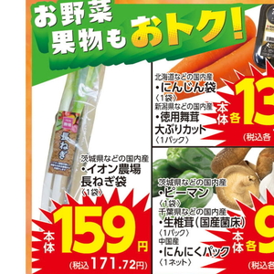 ながねぎ