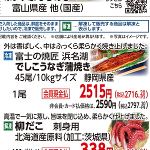 うなぎの蒲焼き