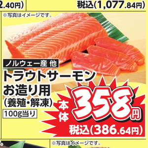 サーモン（刺身）