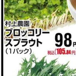 ブロッコリースプラウト