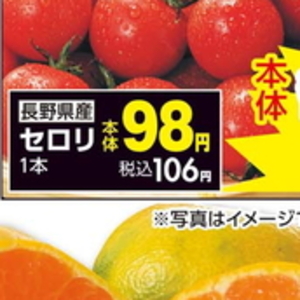 セロリ