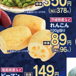 レンコン