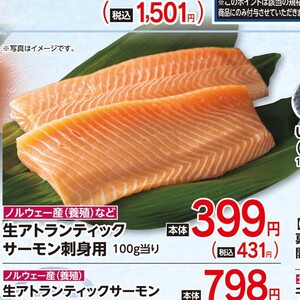 サーモン（刺身）