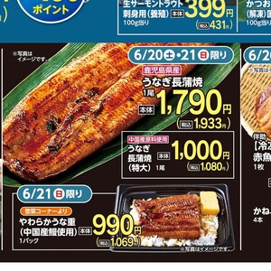 うなぎの蒲焼き