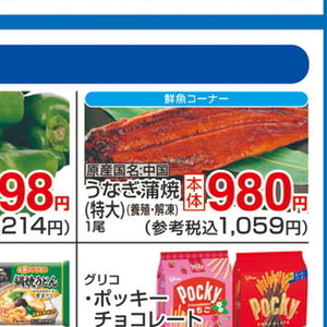 うなぎの蒲焼き