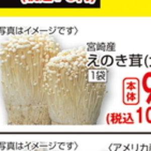 えのき茸