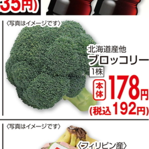ブロッコリー