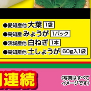 ながねぎ