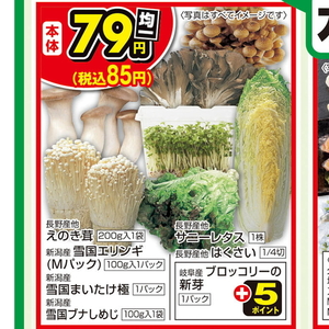 まいたけ