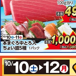 まぐろ中とろ