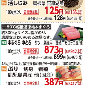 まぐろ中とろ