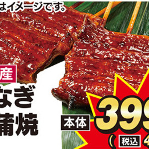 うなぎの蒲焼き