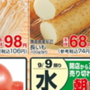 ながいも