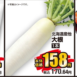 だいこん