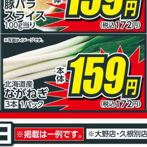 ながねぎ