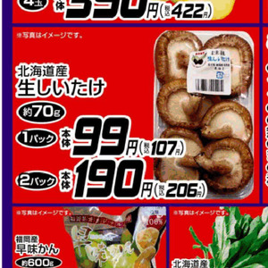 しいたけ