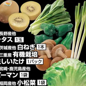 ながねぎ