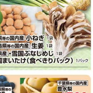 しょうが