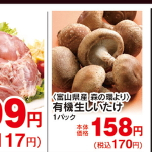 しいたけ