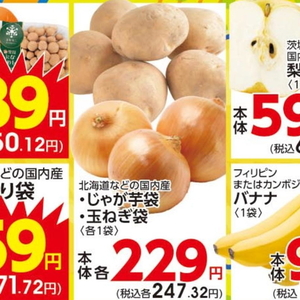 たまねぎ