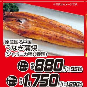 うなぎの蒲焼き