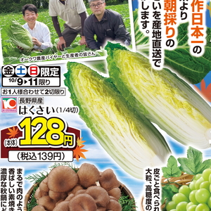はくさい