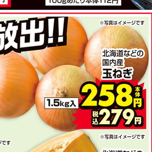 たまねぎ