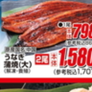 うなぎの蒲焼き