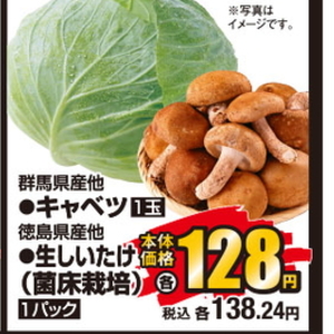 きゃべつ