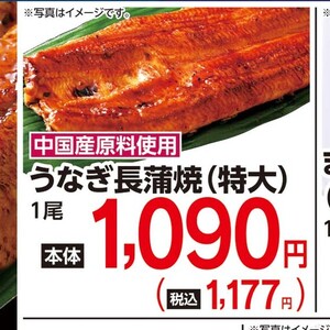 うなぎの蒲焼き