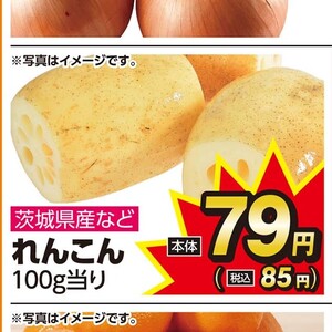 レンコン