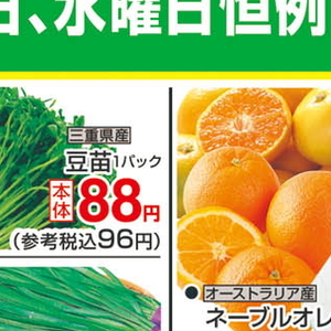 豆苗