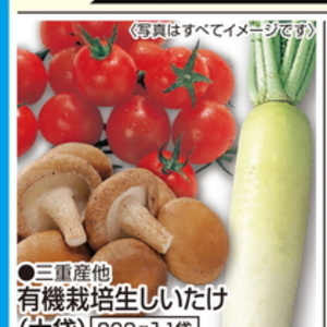 しいたけ