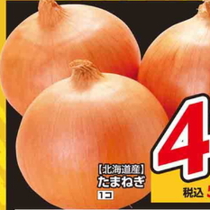 たまねぎ