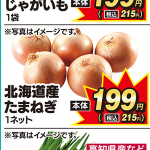 たまねぎ