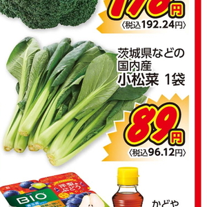 こまつ菜